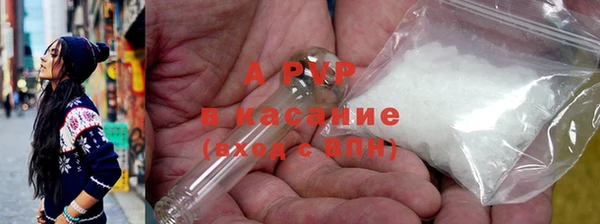 СК Гусев