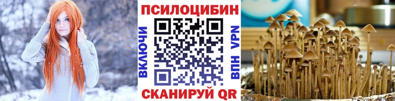 где купить наркоту  Нязепетровск  Галлюциногенные грибы Cubensis 